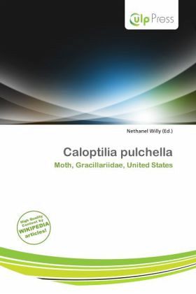 Caloptilia pulchella