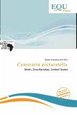 Cameraria picturatella Cameraria picturatella