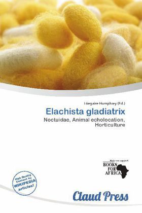 Elachista gladiatrix Elachista gladiatrix