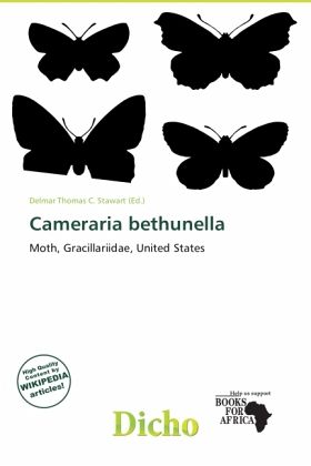 Cameraria bethunella Cameraria bethunella