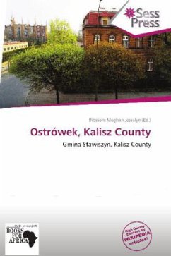 Ostrówek, Kalisz County