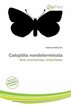 Cover Caloptilia nondeterminata