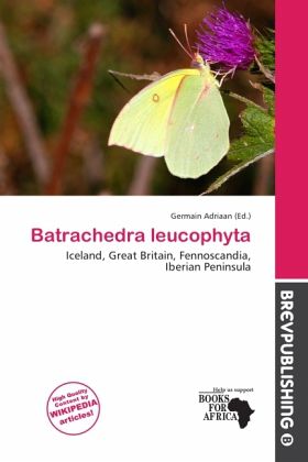 Batrachedra leucophyta