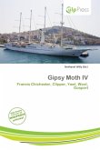 Gipsy Moth IV