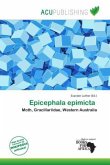 Epicephala epimicta