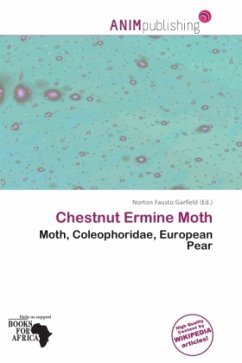 Chestnut Ermine Moth