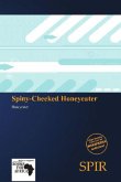 Spiny-Cheeked Honeyeater