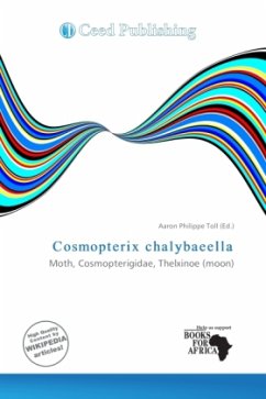 Cosmopterix chalybaeella