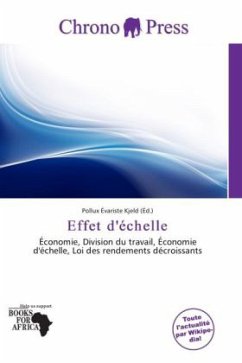 Cover Effet d'échelle