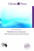 Hydraecia micacea Hydraecia micacea