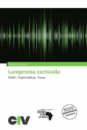 Lampronia corticella