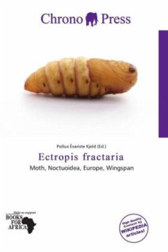 Ectropis fractaria