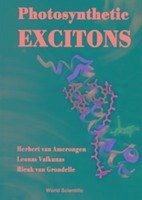 Photosynthetic Excitons - Valkunas, Leonas; Amerongen, Herbert van; Grondelle, Rienk van