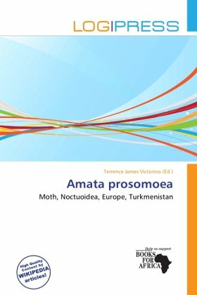 Amata prosomoea Amata prosomoea