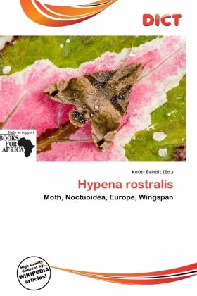 Hypena rostralis Hypena rostralis