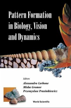 Pattern Formation in Biology, Vision and Dynamics