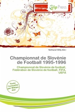 Championnat de Slovénie de Football 1995-1996