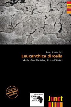 Leucanthiza dircella Leucanthiza dircella