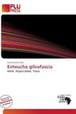 Enteucha gilvafascia Enteucha gilvafascia
