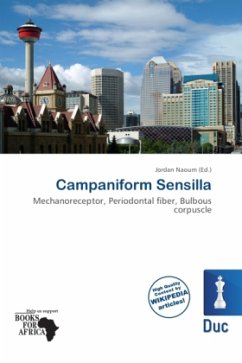 Cover Campaniform Sensilla