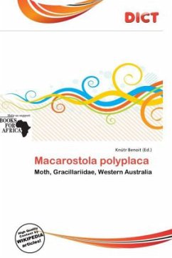 Macarostola polyplaca