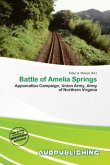 Battle of Amelia Springs