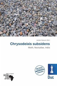 Chrysodeixis subsidens Chrysodeixis subsidens