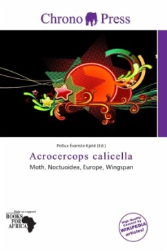 Acrocercops calicella