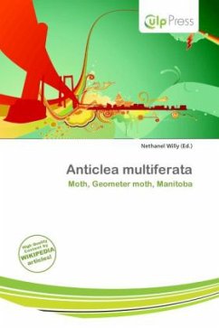 Cover Anticlea multiferata