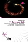 11 Camelopardalis