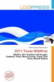 2011 Texas Wildfires