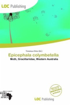 Epicephala colymbetella