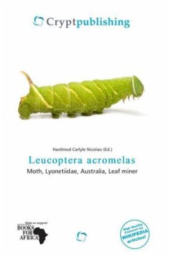 Leucoptera acromelas