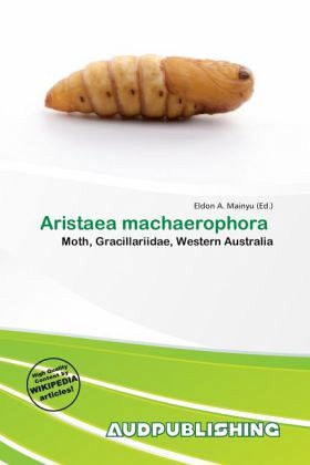 Aristaea machaerophora Aristaea machaerophora