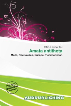 Amata antitheta