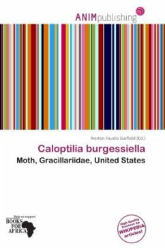 Caloptilia burgessiella
