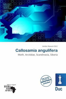 Callosamia angulifera Callosamia angulifera