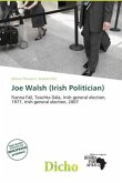 Joe Walsh (Irish Politician)