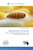 Batrachedra microtoma Batrachedra microtoma