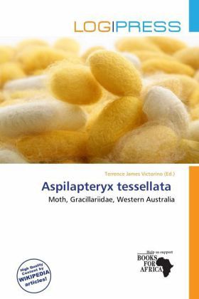 Aspilapteryx tessellata Aspilapteryx tessellata