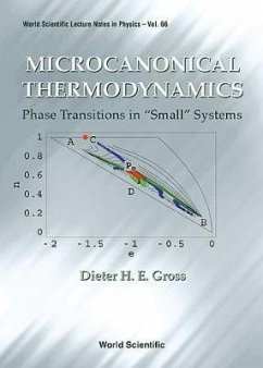 Microcanonical Thermodynamics: Phase Transitions in Small Systems - Gross, Dieter H E