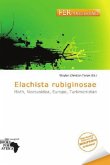 Elachista rubiginosae Elachista rubiginosae