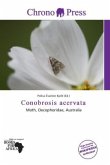 Conobrosis acervata