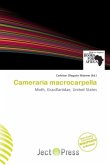 Cameraria macrocarpella Cameraria macrocarpella