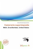 Cameraria superimposita Cameraria superimposita