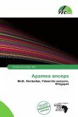 Apamea anceps Apamea anceps