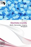 Elachista crumilla Elachista crumilla
