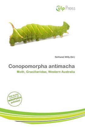 Conopomorpha antimacha