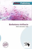 Borbotana nivifascia