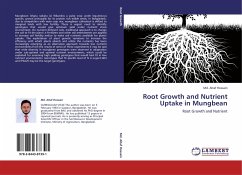 Root Growth and Nutrient Uptake in Mungbean